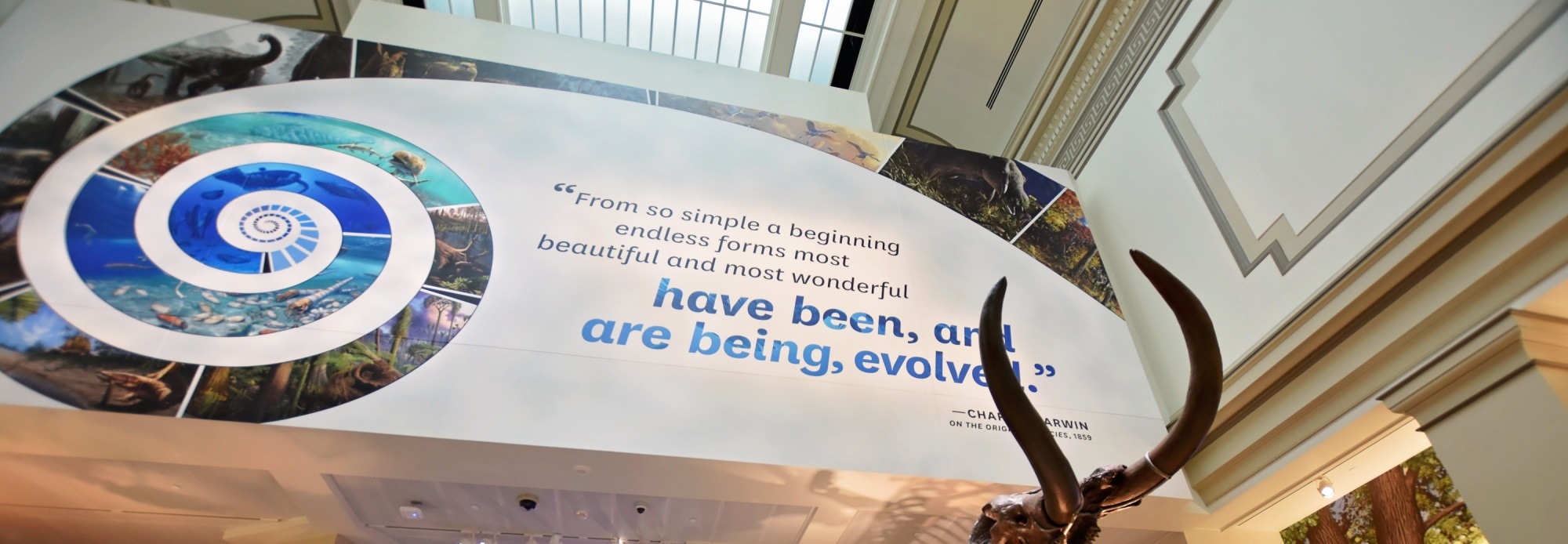 NMNH-banner2000x1333