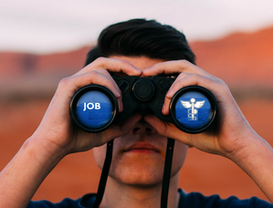 Job search 299 x 228