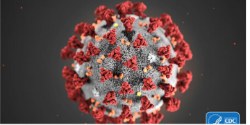 coronavirus 360x180 coronavirus 360x180