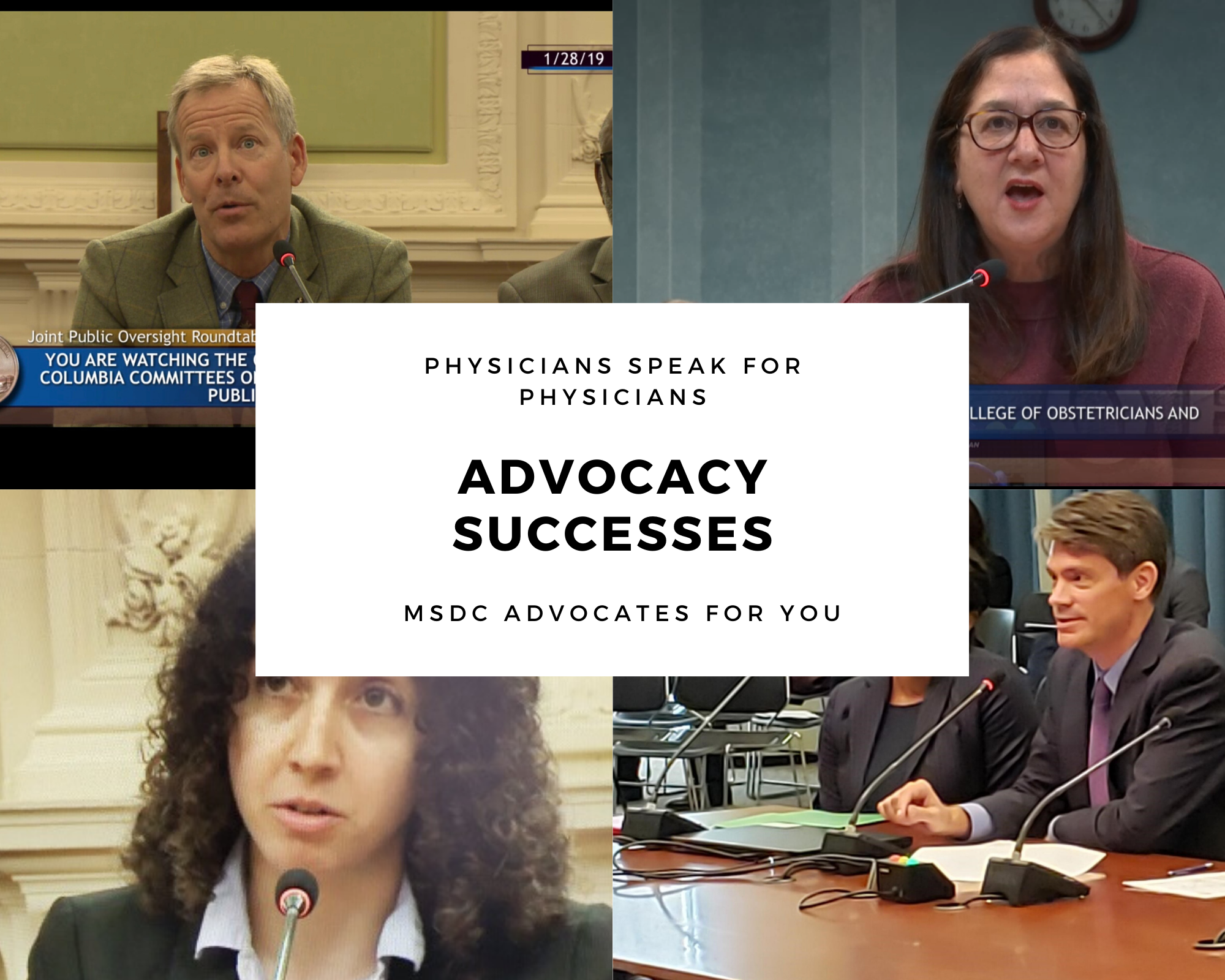 Advocacy Successes Logo Advocacy Successes Logo